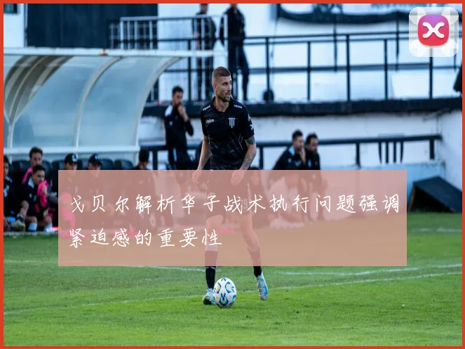 戈贝尔解析华子战术执行问题强调紧迫感的重要性