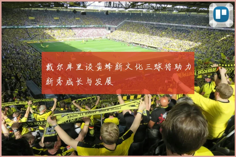 戴尔库里谈黄蜂新文化三球将助力新秀成长与发展