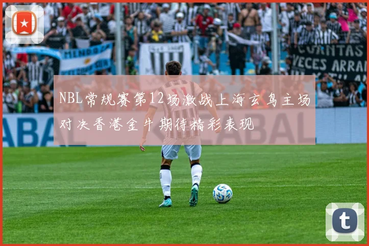 NBL常规赛第12场激战上海玄鸟主场对决香港金牛期待精彩表现