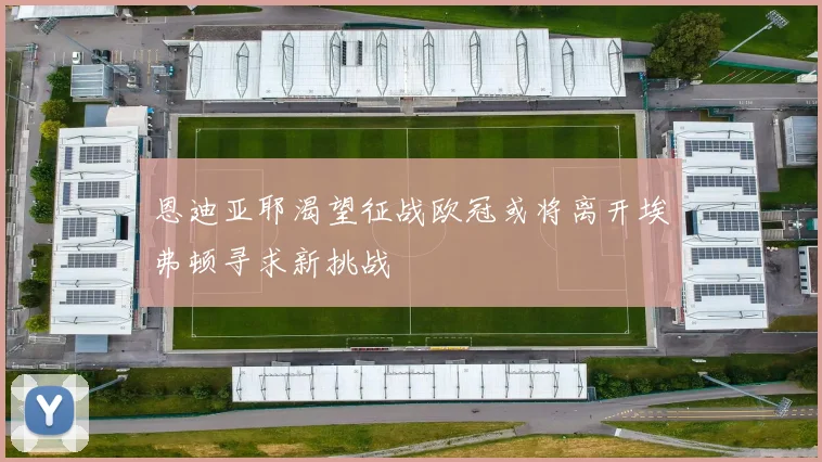 恩迪亚耶渴望征战欧冠或将离开埃弗顿寻求新挑战